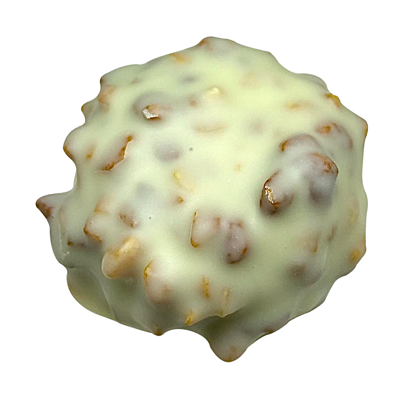 Rocher